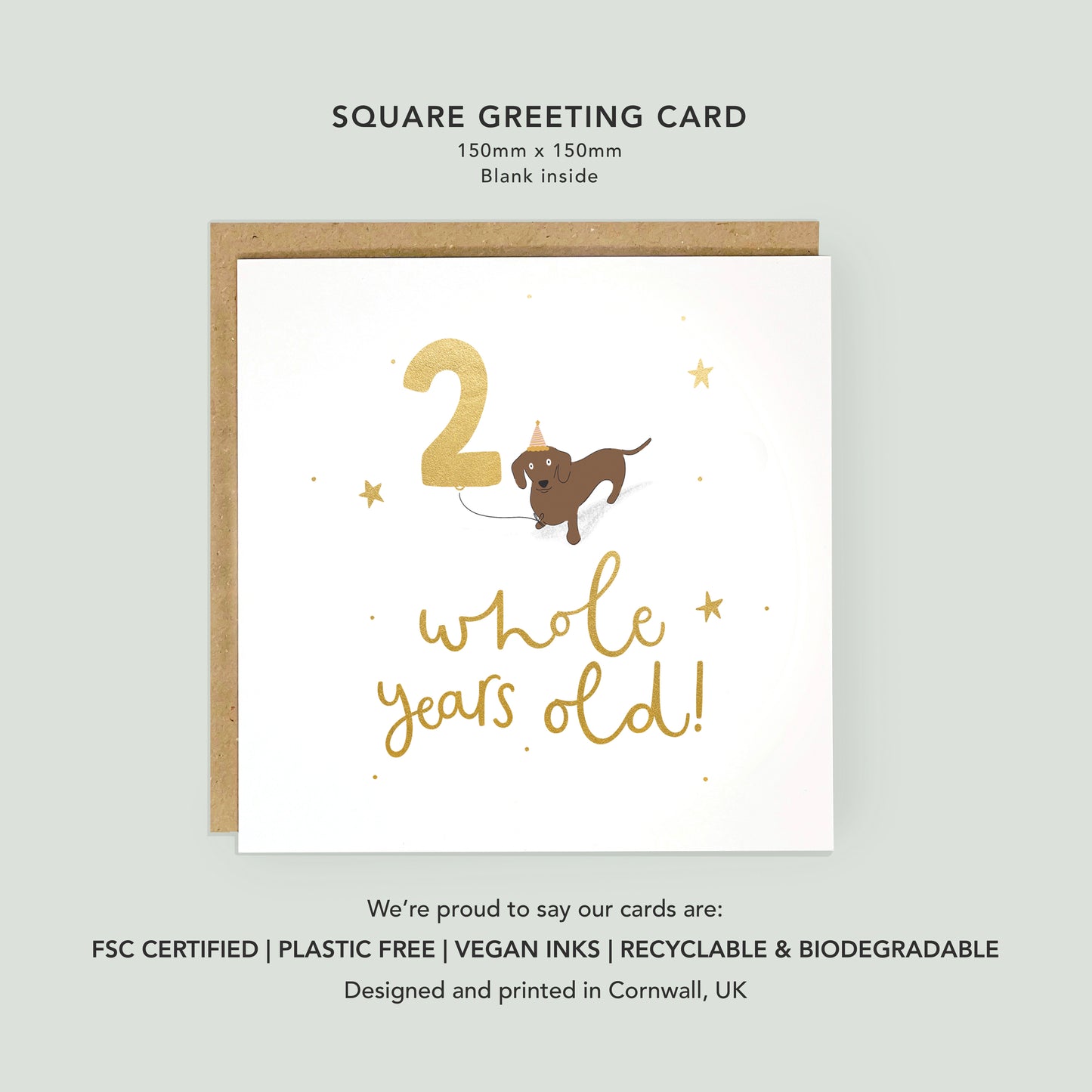 Gold foiled 2nd birthday dachshund dog card by Abbie Imagine