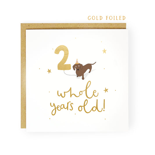 Two years old milestone birthday card for second birthday featuring a dachshund by abbie imagine
